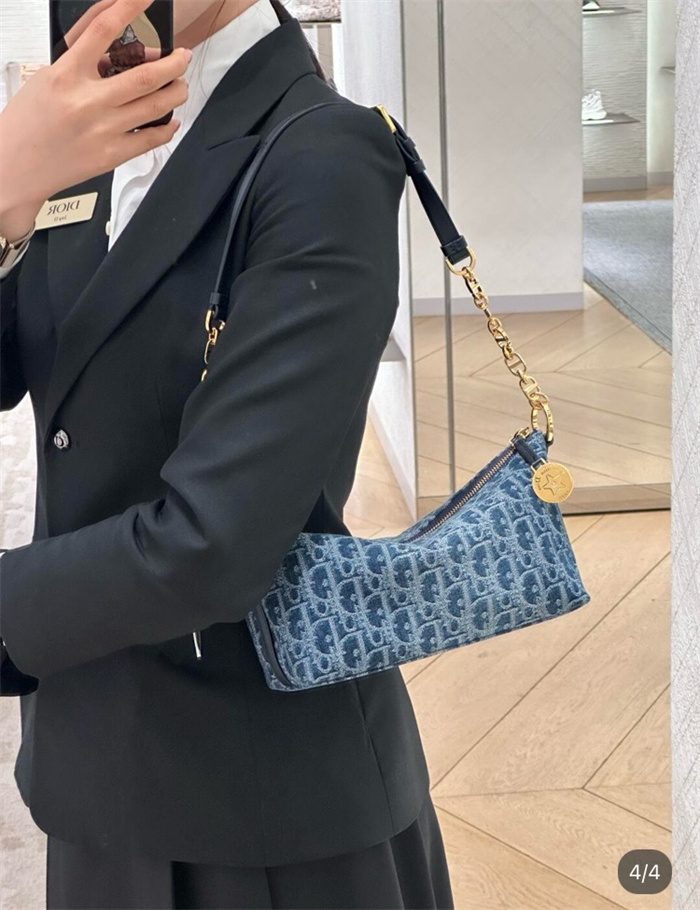 DIOR 디올 오블리크 스타 체인 호보백 S3202 2024/신상